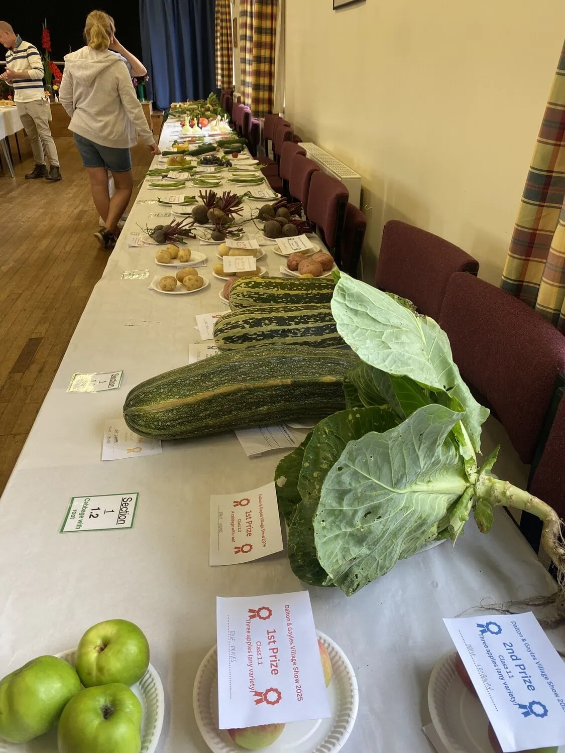 Dalton-Gayles-Village-Hall-Show-2025-002